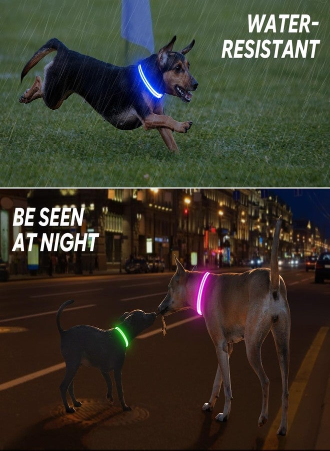 BSEEN Light Up Dog Collar - LED Dog Collar Rechargeable Lighted Pet Collars Glow in The Dark Puppy Collar Safety Dog Lights for Night Walking(Green, Small) - Image 3